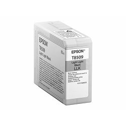 EPSON Singlepack Light Light Black, C13T850900