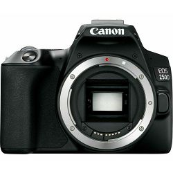 Canon EOS 250d body