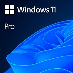 MS Windows 11 Pro 64Bit English Intl 1pk DSP OEI DVD