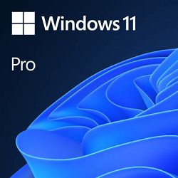 Microsoft Windows 11 Pro CRO 64x OEM, FQC-10524