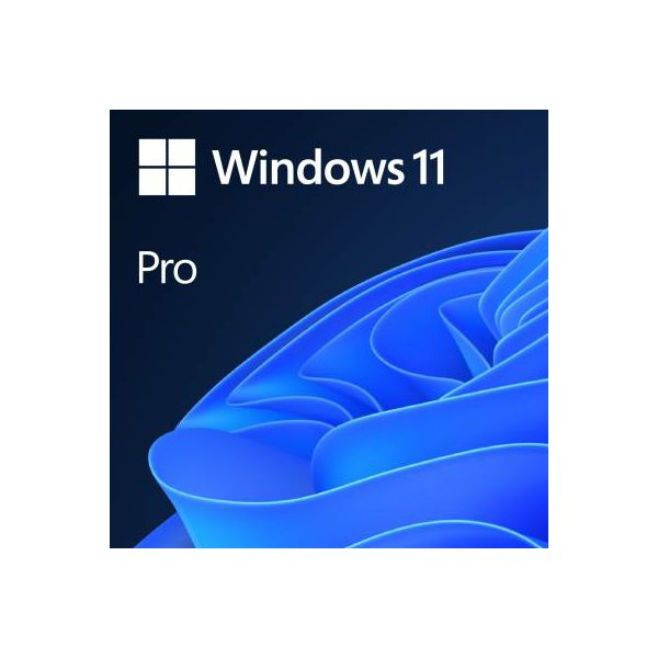 Microsoft Windows 11 Pro CRO 64x OEM, FQC-10524