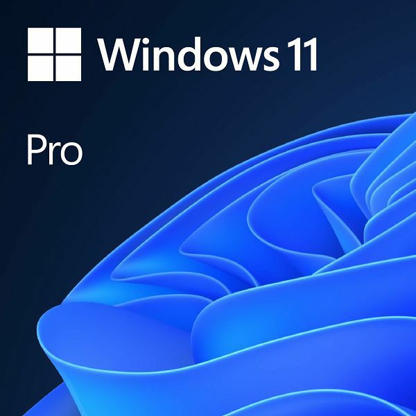 MS Windows 11 Professional 64-bit Eng, FQC-10528